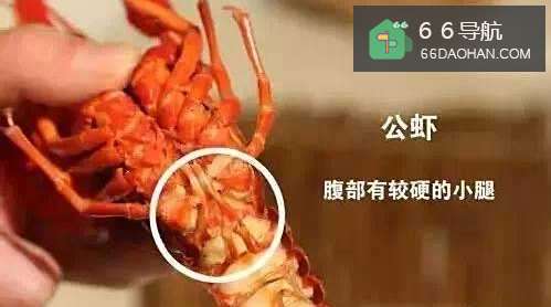 怎么正确吃小龙虾