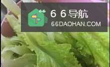 炒生菜要不要焯水