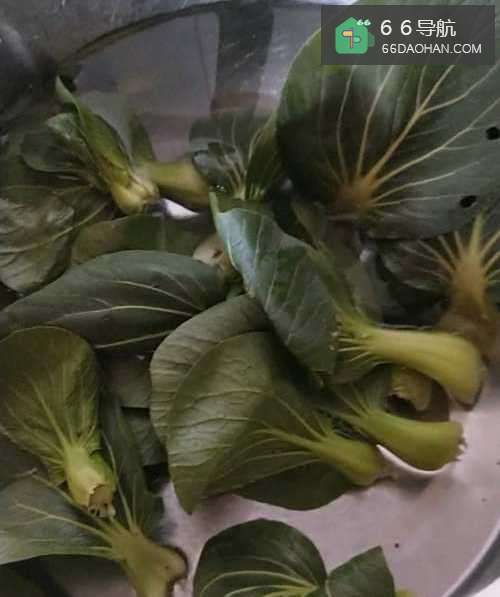 【青菜年糕】简单做法