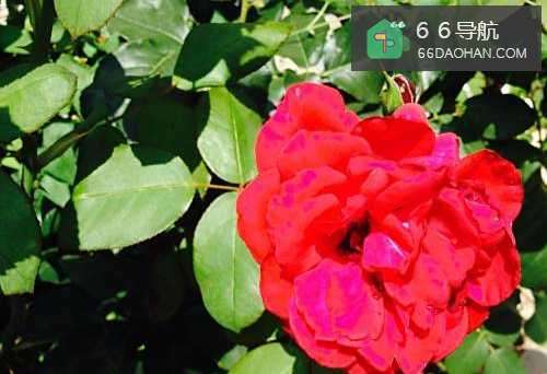 怎样能使在单位的人际关系变好?