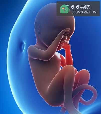 准备怀孕该注意些什么事情?