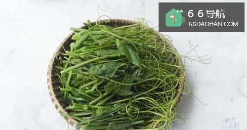 【清炒龙须菜】简单做法
