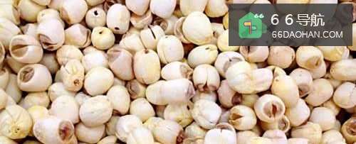 莲子的功效、作用及食用方法