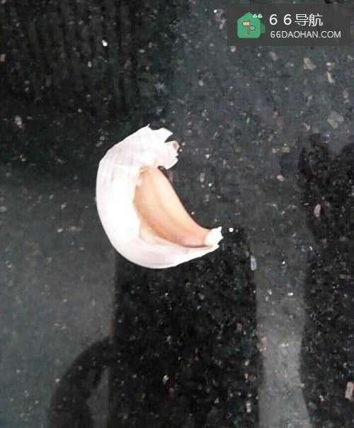 怎么炒空心菜最美味？