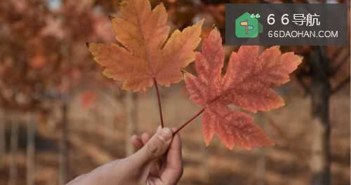 喜欢一个人很多年了，突然收到消息那人要结婚了