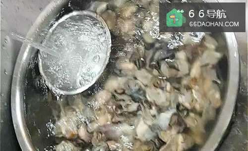 如何做水晶牡蛎
