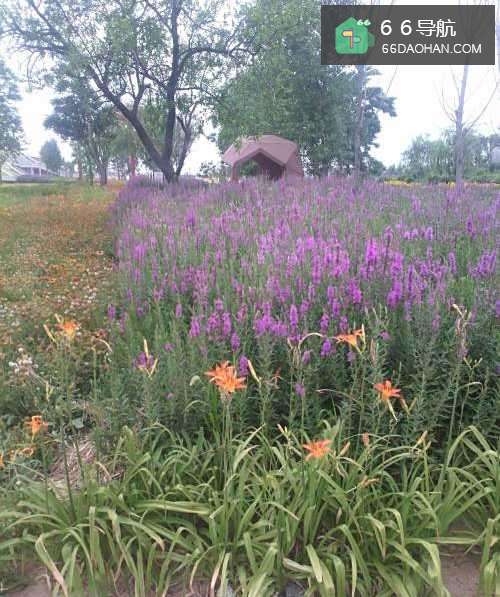 哪些话是不能和老公说的