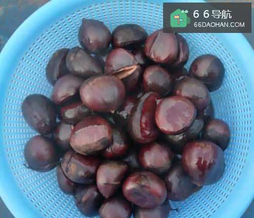 板栗怎么煮好吃