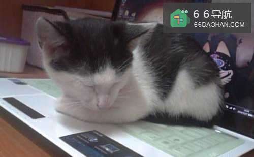 如何才能知道女孩喜不喜欢你