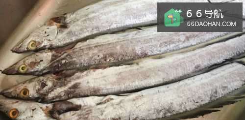 干炸带鱼在家怎么做?