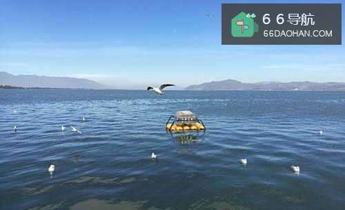 心情不好的时候怎么做