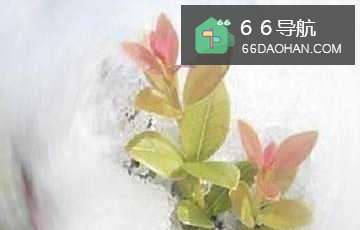 感到自己很没用,怎么办?