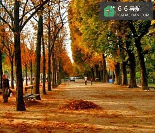 怎样克服病态怀旧