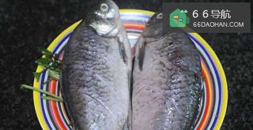 【紫苏鲫鱼蒸】简单做法