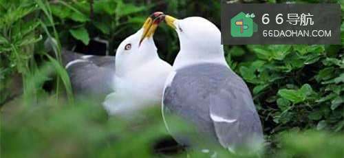 如何给婚姻保鲜?