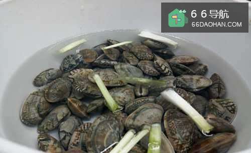 【麻辣花蛤】简单做法