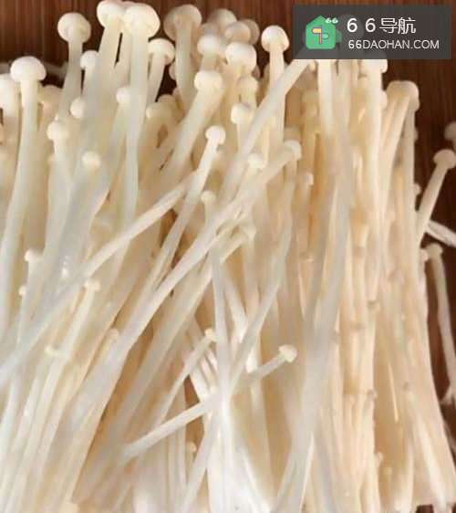 火腿金针菇做法，步骤及图示。