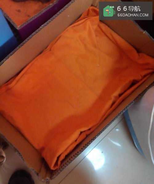 怎样护理猫妈妈和幼猫