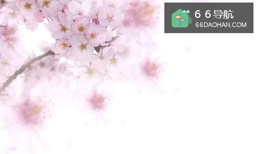 职场必备十大现象和定律,终于被小编找全了!