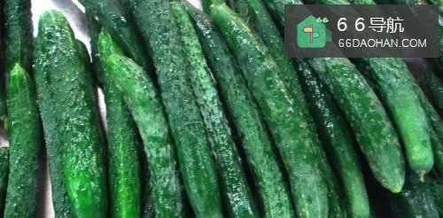 怎样腌制黄瓜,拿肉都不换?