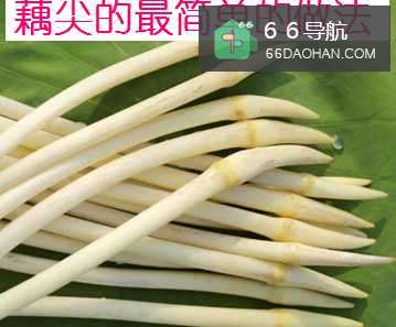 炒藕尖的家常做法