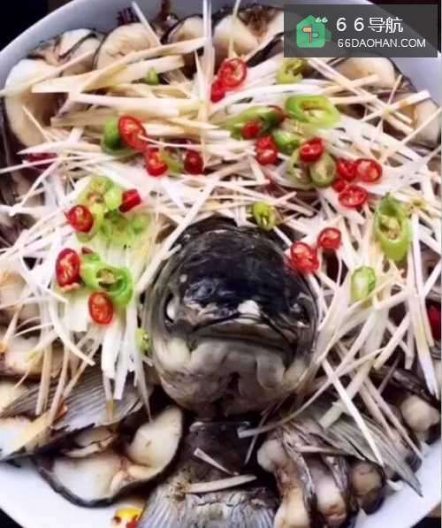 美味可口的清蒸草鱼的做法