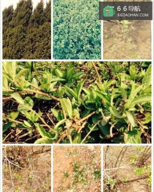 夫妻间关系紧张应该怎样调节?