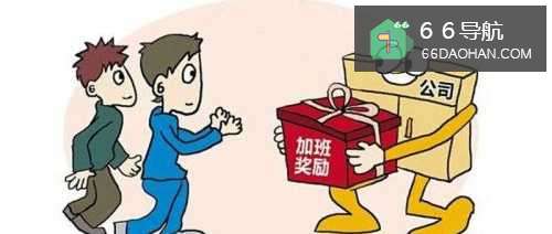 老板喜欢什么样的员工