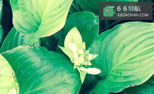 谈恋爱应该远离哪几种男人?