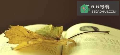 怎么度过人生的低潮期