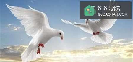 婚姻小秘书：[14]不要尝试去控制对方