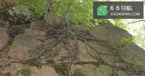 职场打拼中要注意什么?