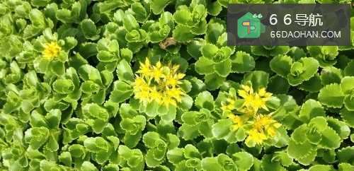 心情烦躁怎么调节?