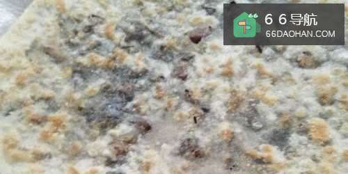 梅菜肉饼的做法