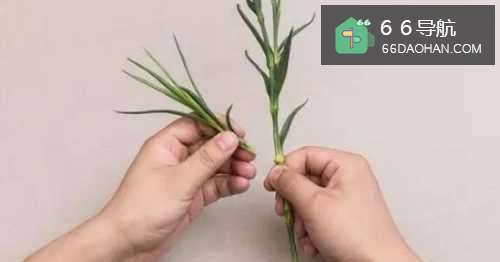 美过初恋的迷你花束插花教程