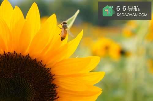 牢记曾国藩这八句话，从此职场中事皆通透！