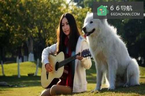 如何和她家的狗打好交道？