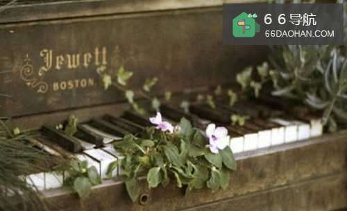 怎样知道对方暗恋你