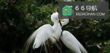 恋爱中会出现哪些感觉