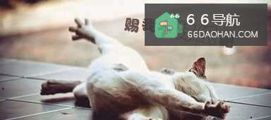 怎么去追喜欢的女孩