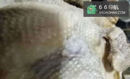 风干鸡的家常做法