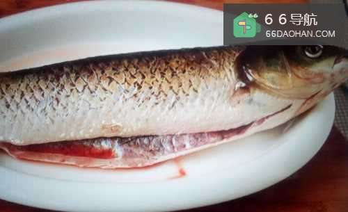 草鱼的做法大全