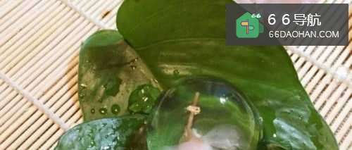 如何制作樱花水信玄饼二