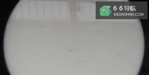 红薯粉打凉粉的做法