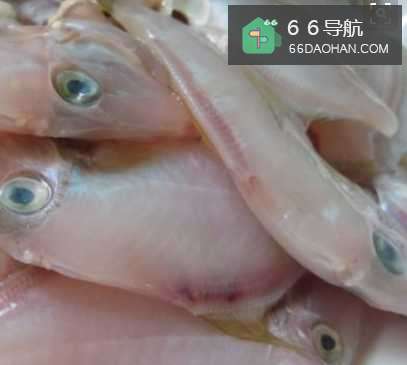 剥皮鱼怎么做才好吃