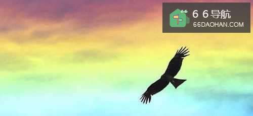 如何才能混的好?能力很重要