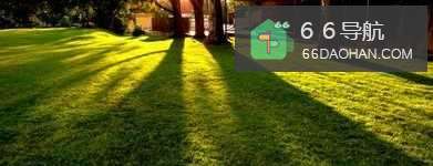 早晨你不能做的事情