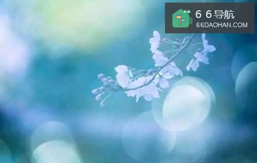 先别羡慕华为人均工资58万,你达到员工标准了吗