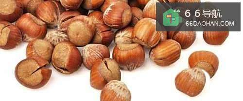 坚果有哪些种类