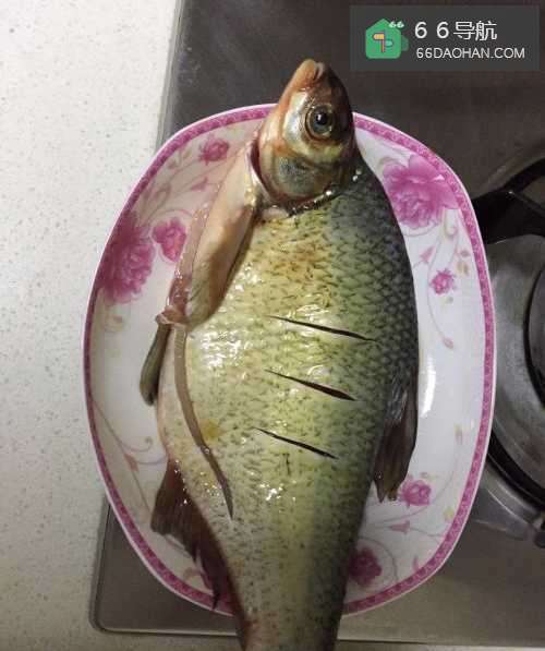 好吃的家常菜清蒸鳊鱼的做法